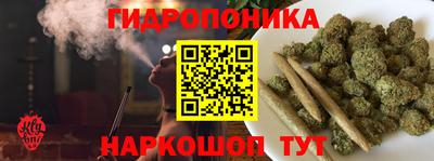 jwh Канаш