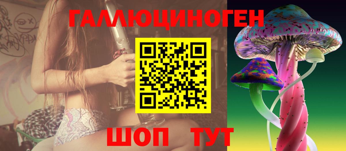 Псилоцибиновые грибы мицелий Изобильный